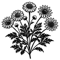 illustration of a flower,flower, floral, vector, 