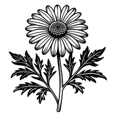 illustration of a flower,flower, floral, vector, 