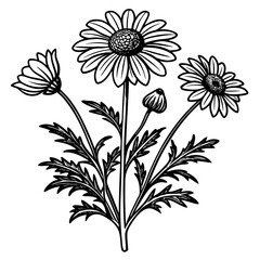 illustration of a flower,flower, floral, vector, 