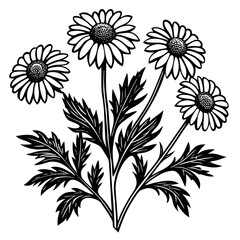 illustration of a flower,flower, floral, vector, 