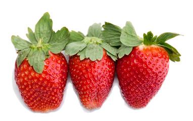 Isolated strawberries on white background.
