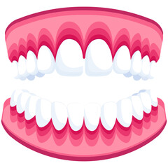 Human Teeth