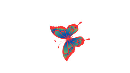 butterfly