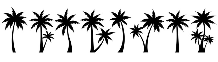 Palm Tree Big Set Isolated White Background