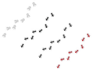 Ant Trail Marching in a Scattered Path Isolated Illustration Clipart - Outline, Silhouette and Color