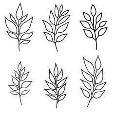 Fototapeta premium Black leaf icons set. Abstract leaves icon on a background. Collection of black leaf icon. botanical elements design for natural, eco, vegan, bio labels. 