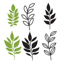 Collection of hand drawn botanical elements featuring green leaves and black silhouettes.