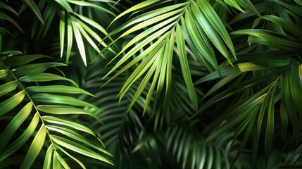 Tropical Leaves Background