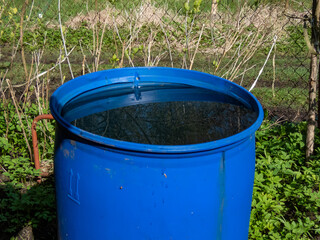 Blue, plastic water barrel reused for collecting and storing rainwater for watering plants full with water surrounded with vegetation