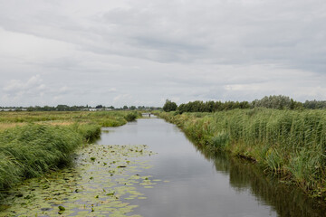 flat field farmland with water drainage ditch slot in Dutch countryside. Typical polder scene in rural Netherlands land manicured for working 

