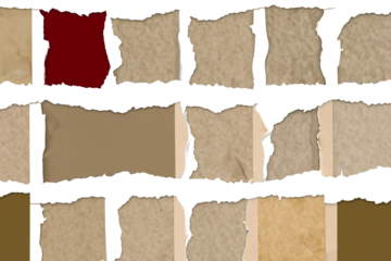 A collection of torn paper with one piece of paper having a red border