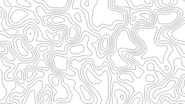 Abstract animated outline topographic map lines. Moving waves on white background. 4K looped animation.