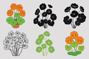 Intricate Nasturtium Vector Pack: Detailed Botanical Illustrations