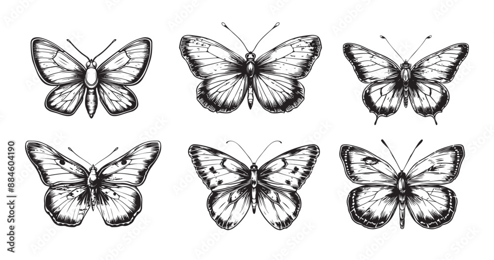 Poster Beautiful butterfly set sketch hand drawn in doodle style illustration