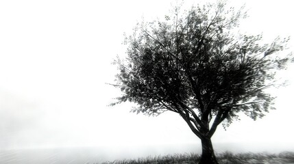 Obraz premium A monochrome image of a tree in a hazy meadow against a clear blue sky