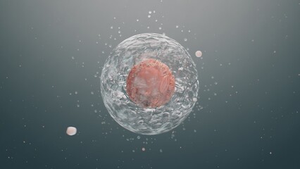 A living cell with a pulsating nucleus, a biological concept. The emergence of a new life, reproduction by spores
