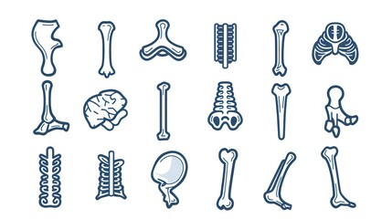 Obraz premium Collection of Human Bone Icons