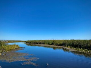 Ontario Marshlands 