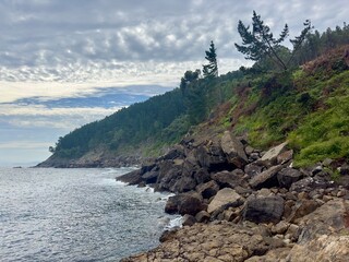 coast of the sea