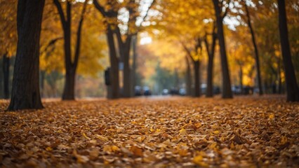 Autumn landscape nature scene with fall tree leaves in autumnal colors