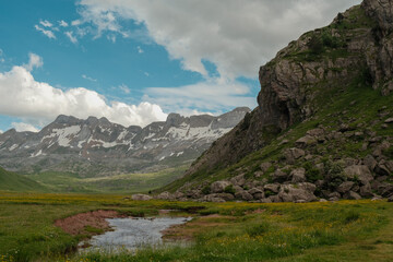 Alpine river valley landscape in the snowcapped Spanish Pyrenees Mountains Valles Occidentales Nature Park in late spring/early summer with blooming yellow wildflowers