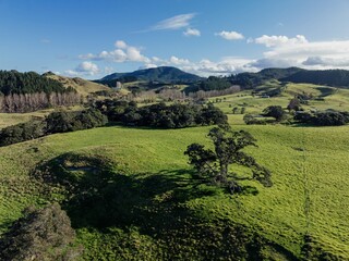 Obraz premium Farmland in Opoutere, Whangamata, Coromandel Peninsula, New Zealand.