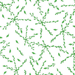 Seamless pattern with sprigs of herbs with rounded leaves, color illustration