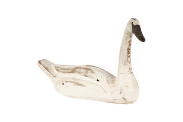 skeleton of a skull isolated