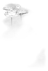 蓮の墨彩画の喪中欠礼はがき 背景素材 モノトーン(はがきサイズ)