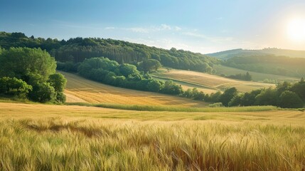 Obraz premium Scenic summer vista with wheat fields wooded hill trees and clear sky emphasizing nature s beauty eco conservation and farming