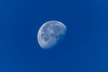 Morning Moonrise in the Great Smokey Mountains