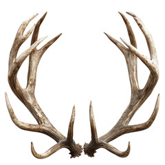 Obraz premium Reindeer Horns Isolated on Transparent or White Background, PNG