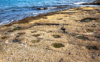 High angle view of dinosaur footprints on seaside rock near the sea at Sangjogam County Park of Deongmyeong-ri near Goseong-gun, South Korea
