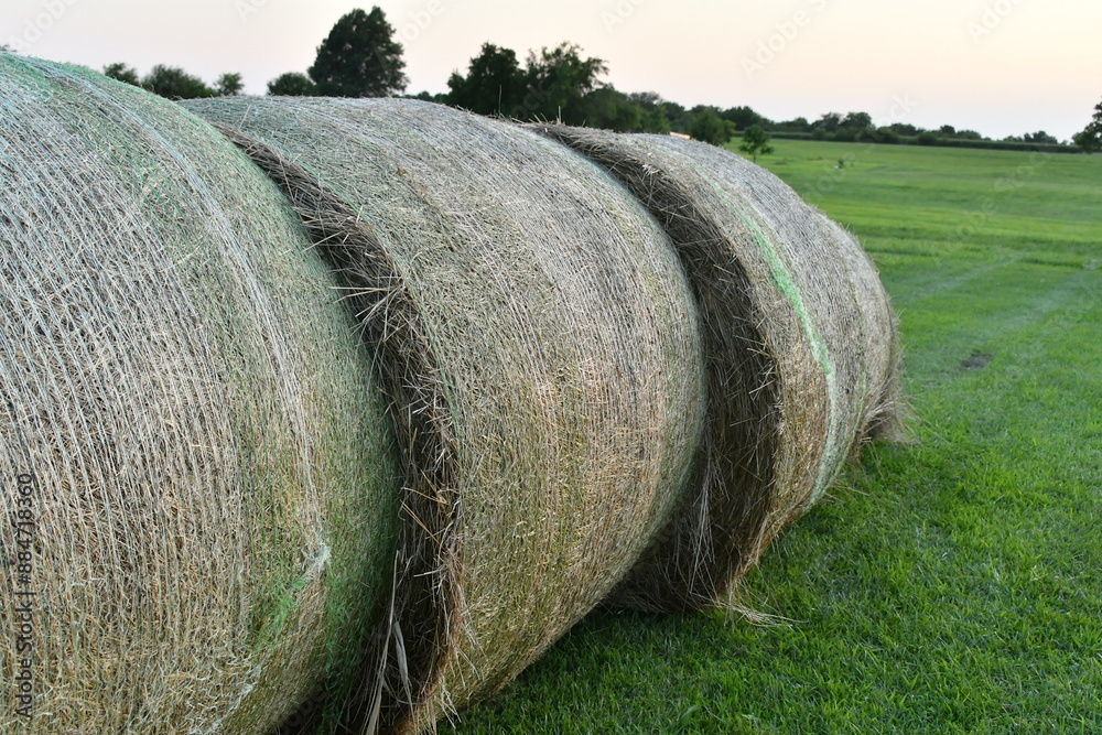 Poster Hay Bales in a Farm Field