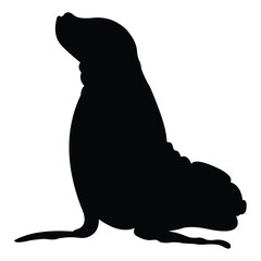 seal vector silhouette design. black on a white background.