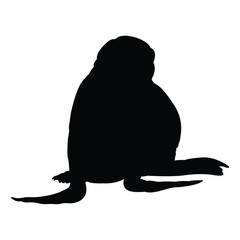 Fototapeta premium seal vector silhouette design. black on a white background.