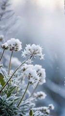 a close up of a plant with snow on it