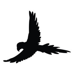 parrot vector silhouette design. black on a white background.