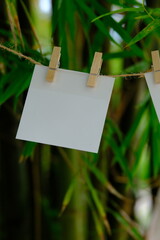 close up of post it reminders or a plain white paper and clothespins attached to a rope with clipping path 