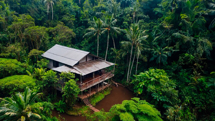 Vida Sustent&aacute;vel: Mans&atilde;o Ecol&oacute;gica na Natureza