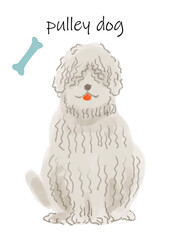 かわいい犬のイラスト素材