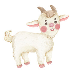 goat  isolated on white