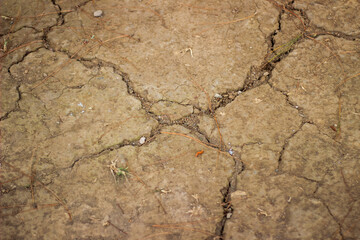 Texture cracks of dry soil