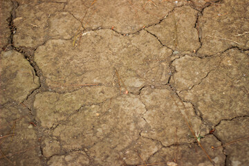Texture cracks of dry soil