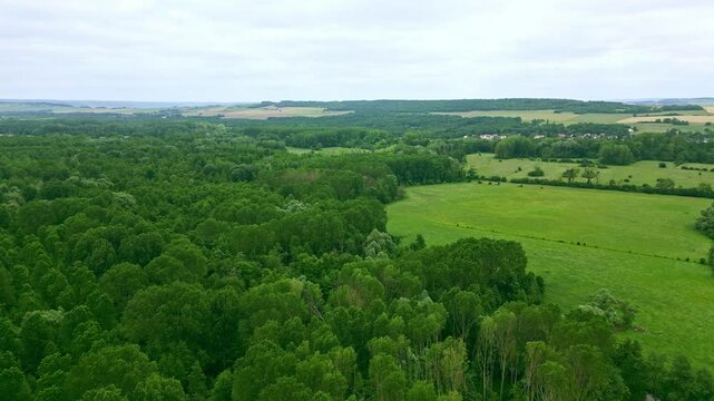 Giverny forest, France. Aerial forward