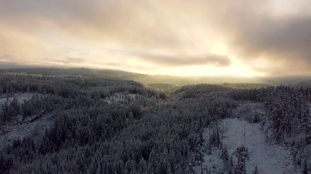 Sunset over a snowy Norwegian forest