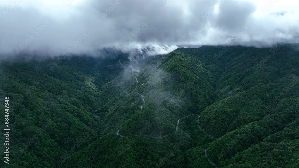 Wall mural Fog and cloud mountain valley landscape, Sunrise over the mountains, of Aerial top view forest tree, Rainforest ecosystem and healthy environment concept