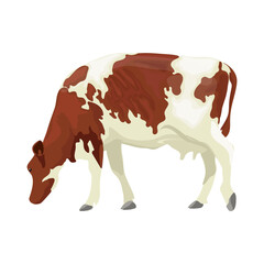 Dairy cow on a separate white background in vector format