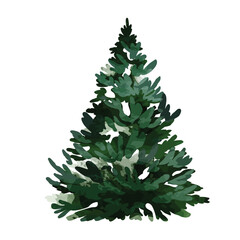 Green watercolor decorative christmas tree vector illustration.