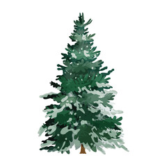 Green watercolor decorative christmas tree vector illustration.